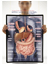 digestive system poster